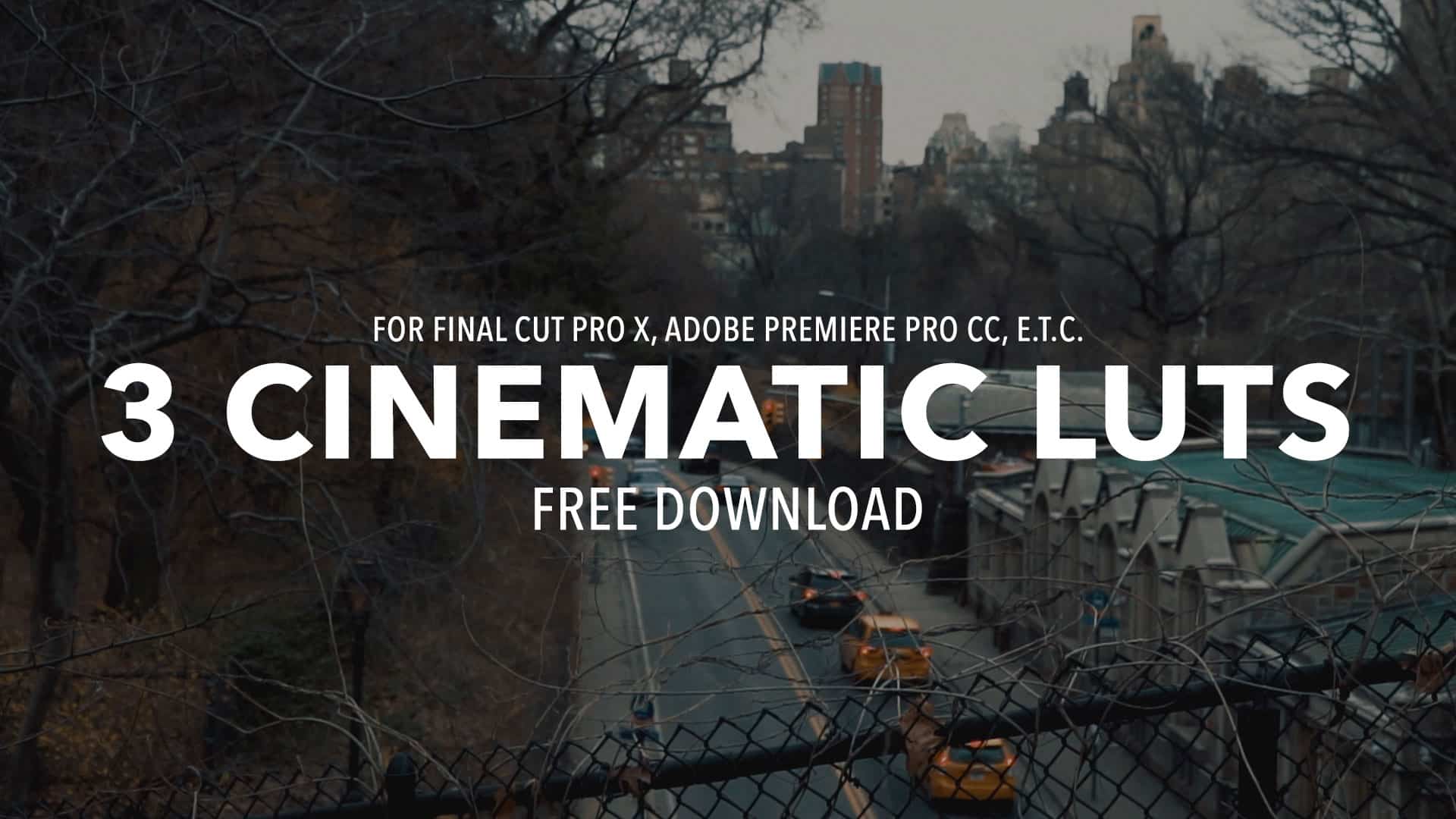 free lut premiere